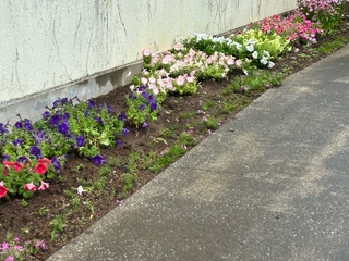 image0.jpeg