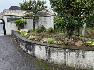 image1.jpeg